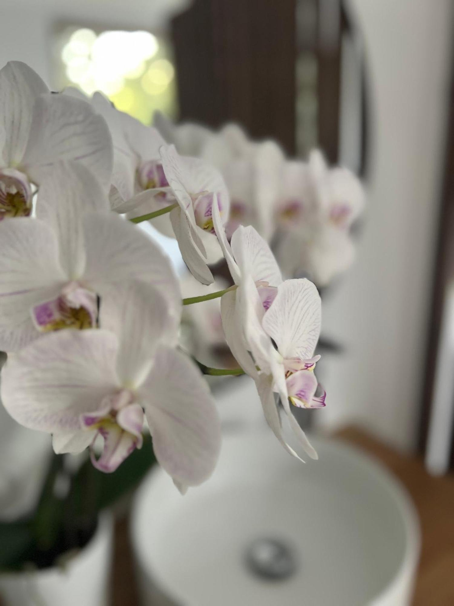 La Canopee Private Ecolodges 님 외부 사진